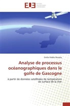 Emilie Fédèle Murphy, Murphy-e - Analyse de processus
