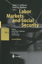 John T. Addison, J J Welfens, J J Welfens, Joh T Addison, John T Addison, Paul J. J. Welfens... - Labor Markets and Social Security