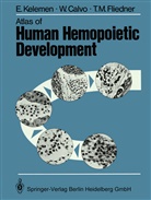 Calvo, W Calvo, W. Calvo, T M Fliedner, T. M. Fliedner, T.M. Fliedner... - Atlas of Human Hemopoietic Development