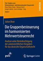 Julian Boor - Die Gruppenbesteuerung im harmonisierten Mehrwertsteuerrecht