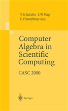 Victor G. Ganzha, Viktor G. Ganzha, Ernst Mayr, Ernst W. Mayr, Evgenii V Vorozhtsov, Evgenii Vorozhtsov... - Computer Algebra in Scientific Computing