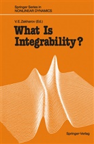 Vladimi E Zakharov, Vladimir E Zakharov, Vladimir E. Zakharov - What Is Integrability?