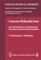 Euge Illenberger, Eugen Illenberger, Jacques Momigny - Gaseous Molecular Ions
