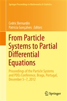 Cédri Bernardin, Cédric Bernardin, Patrícia Goncalves, Gonçalves, Gonçalves, Patricia Gonçalves... - From Particle Systems to Partial Differential Equations