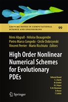 Remi Abgrall, Rémi Abgrall, Héloïs Beaugendre, Heloise Beaugendre, Héloïse Beaugendre, Pietro Marco Congedo... - High Order Nonlinear Numerical Schemes for Evolutionary PDEs