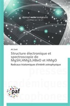 Ali Zaidi, Zaidi-a - Structure electronique et