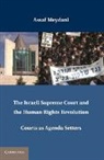Assaf Meydani, Meydani Assaf - Israeli Supreme Court and the Human Rights Revolution