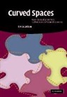P. M. H. Wilson, P. M. H. (University of Cambridge) Wilson, Wilson P. M. H. - Curved Spaces