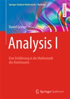 Daniel Grieser - Analysis I