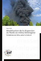 Sarah Hank, Hank-s - Modelisation de la dispersion de
