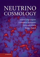 Julien Lesgourgues, Julien (Ecole Polytechnique Federale Lesgourgues, Julien Mangano Lesgourgues, Lesgourgues Julien, Gianpiero Mangano, Mangano Gianpiero... - Neutrino Cosmology