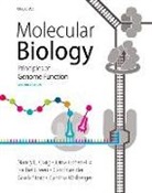 Nancy Craig, Nancy/ Green Craig, Rachel Green, Carol Greider - Molecular Biology