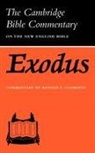 Ronald E. Clements - Exodus