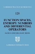 D. E. Edmunds, D. E. Triebel Edmunds, H. Triebel, Hans Triebel - Function Spaces, Entropy Numbers, Differential Operators