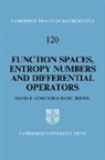 D. E. Edmunds, D. E. Triebel Edmunds, H. Triebel, Hans Triebel - Function Spaces, Entropy Numbers, Differential Operators