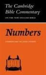 John Sturdy - Numbers