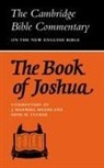 J. Maxwell Miller, J.maxwell Miller, Gene M. Tucker - The Book of Joshua
