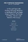 C. M. De Jonge Wang, Chongmin Wang, Chongmin De Jonge Wang, Braun Arthur, Niels De Jonge, Rafal E. Dunin-Borkowski... - In Situ Operando Probing of Energy Materials At Multiscale Down to