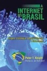 Peter T. Knight - A Internet No Brasil