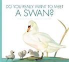 Cari Meister, Daniele Fabbri - Do You Really Want to Meet a Swan?
