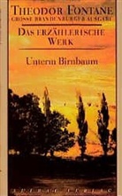 Theodor Fontane, Gotthar Erler, Gotthard Erler, Christin Hehle, Christine Hehle - Das erzählerische Werk - Bd.8: Unterm Birnbaum
