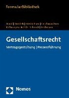 Hans-Joachim David, Bernhard Dombek, Sönke Friedrichsen, Marcus Geschwandtner, Alexander Kollmorgen, Andreas Rohde - Gesellschaftsrecht, m. CD-ROM