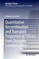 Johannes Giesecke - Quantitative Recombination and Transport Properties in Silicon from Dynamic Luminescence