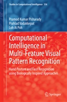 Pramod Pisharady, Pramod Kuma Pisharady, Pramod Kumar Pisharady, L Poh, Loh Ai Poh, Prahla Vadakkepat... - Computational Intelligence in Multi-Feature Visual Pattern Recognition