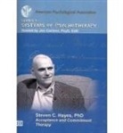 American Psychological Association, Steven C. Hayes - Acceptance and Commitment Therapy