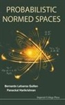 Bernardo Lafuerza Guillen &amp; Panackal Har, Bernardo Lafuerza Guillen, Bernardo Lafuerza Harikrishnan Guillen, Guillen Bernardo Lafuerza, Panackal Harikrishnan, Panackal (Manipal Inst Of Technology (Mit Manipal) Harikrishnan... - Probabilistic Normed Spaces