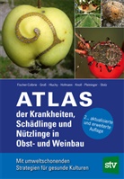 Peter Fischer-Colbrie, Gross, Michael Gross, Hluchy, Milan Hluchy, Hoffma... - Atlas der Krankheiten, Schädlinge und Nützlinge im Obst- und Weinbau