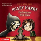 Sonja Kaiblinger, Robert Missler - Scary Harry - Fledermaus frei Haus, 1 Audio-CD (Audio book)