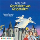 Gunter Preuß, Bernd Stephan - Geschichten von Gespenstern, Audio-CD (Audio book)