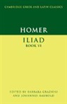 Barbara Graziosi, Barbara (University of Durham) Haubold Graziosi, Barbara Haubold Graziosi, Barbara Graziosi, Barbara (University of Durham) Graziosi, Graziosi Barbara... - Homer: Iliad Book VI