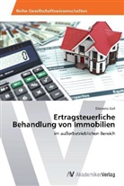 Elizaveta Gall - Ertragsteuerliche Behandlung von Immobilien