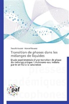 Moncef Bouanz, Taoufi Kouissi, Taoufik Kouissi - Transition de phases dans les
