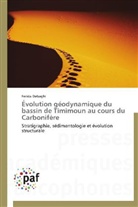 Farida Debaghi, Debaghi-f - Evolution geodynamique du bassin