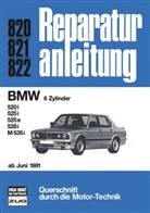 BMW 6Zylinger  ab 6/1981
