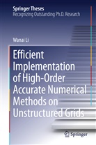 Wanai Li - Efficient Implementation of High-Order Accurate Numerical Methods on Unstructured Grids