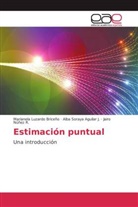 Alba Soray Aguilar J, Alba Soraya Aguilar J, Alba Soraya Aguilar J., Marianel Luzardo Briceño, Marianela Luzardo Briceño, Jairo Núñez R. - Estimación puntual