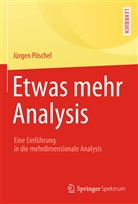 Jürgen Pöschel - Etwas mehr Analysis