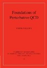 John Collins, John (Pennsylvania State University) Collins, John C. Collins - Foundations of Perturbative Qcd