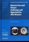 International Astronomical Union, Joeri Van Leeuwen, Joeri Van Leeuwen - Neutron Stars and Pulsars (Iau S291)