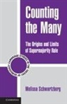 Melissa Schwartzberg, Melissa (New York University) Schwartzberg - Counting the Many