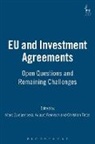 Marc (University of Siegen) Reinisch Bungenberg, Marc Reinisch Bungenberg, Marc Bungenberg, Marc (University of Siegen Bungenberg, Marc (University of Siegen) Bungenberg, August Reinisch... - Eu and Investment Agreements