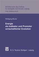 Wolfgang Brune - Energie als Indikator und Promotor wirtschaftlicher Evolution