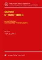 Azfa Suleman, Azfal Suleman - Smart Structures