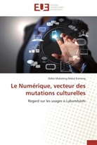 Kanteng-D, Didier Mukaleng-Makal Kanteng - Le numerique, vecteur des
