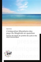 Nabil Alimi, Alimi-n - L integration monetaire des pays