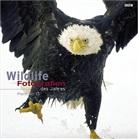 Aus d. Engl. v. H, Hensel, Wildlife Magazine Hrsg. v. BBC - Wildlife Fotografien des Jahres - 13: 2003
